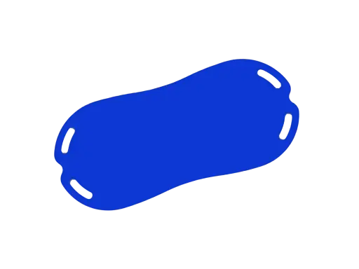 [B53-0020] Crazy Carpets